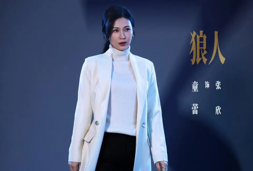 《罚罪2》直到麦洪超遇害，秦枫才发现，彭含章一直在替人监视他