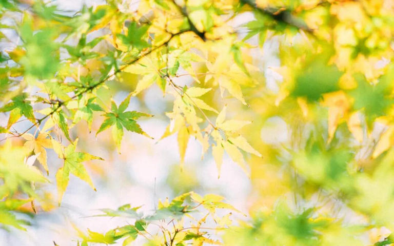 人到中年，对你过分热情、狂热追求的异性，一般都是这三个目的