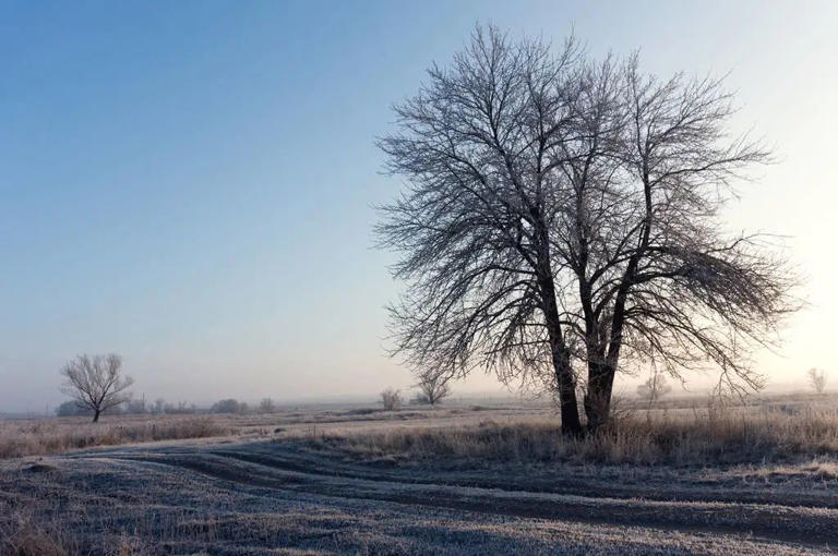 曾国藩：真正厉害的人，早就改变了“底层思维”