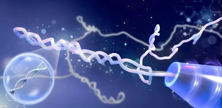 惊天反转? 科学家认错数十年：DNA根本没打结，真相毛骨悚然