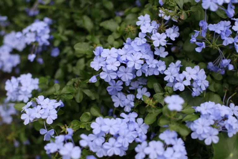 人到中年，对你过分热情、狂热追求的异性，一般都是这三个目的