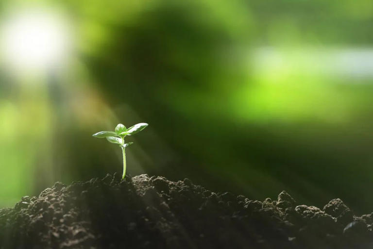  真正的正能量是: 你活成了光源 