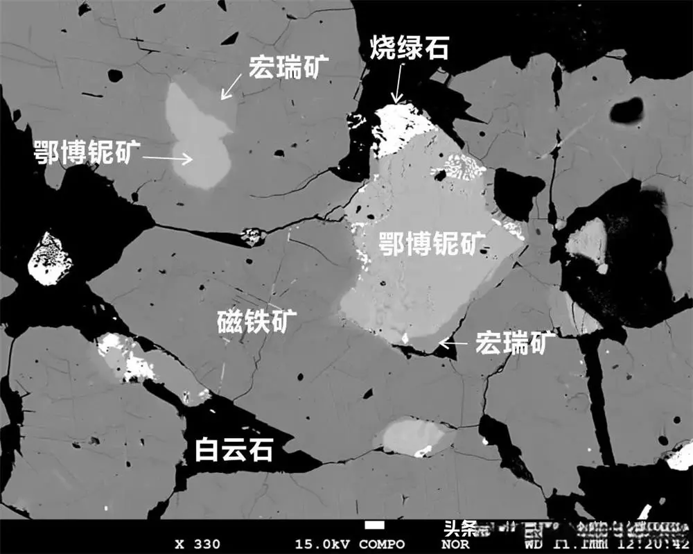 白云鄂博发现2种富铌新矿物