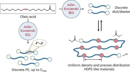 苏大张正彪教授、中科大刘世勇教授合作，最新Nature大子刊！