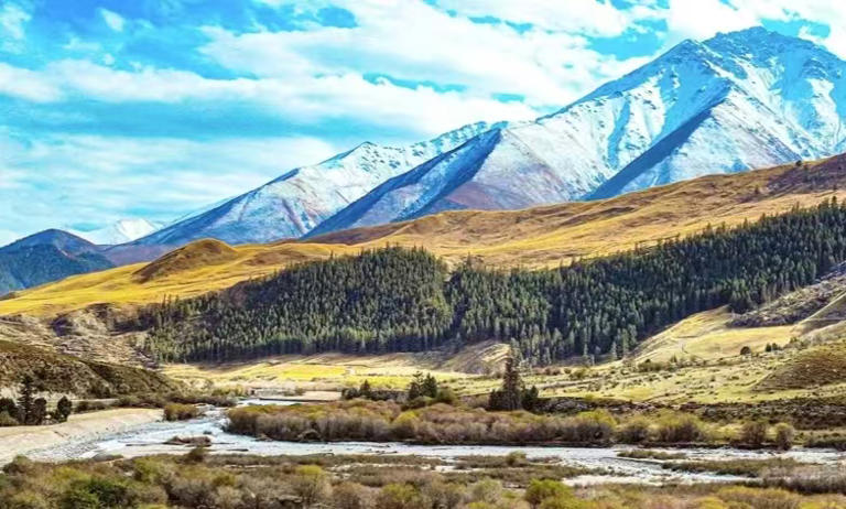 祁连山自然保护区肃南段：动物种群数量增多 禁止人员非法穿越