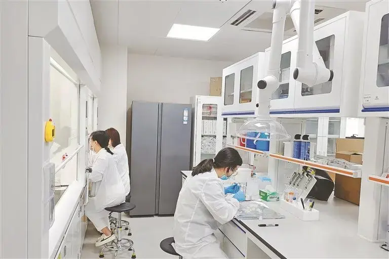 百会新知：显微成像技术破解脑科研究痛点