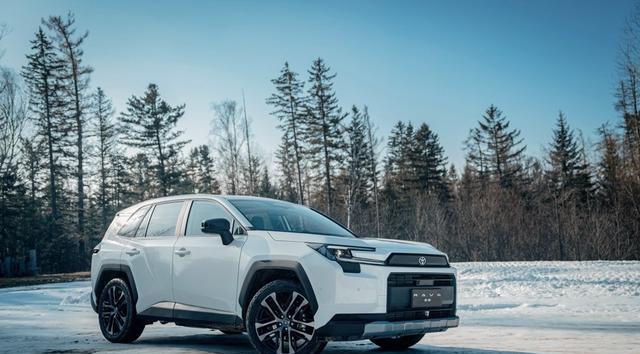全球第六代RAV4荣放家用很给力，周末想好去哪了吗?