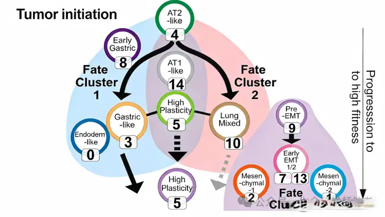 癌症转移竟是“内定”的? 科学家追踪癌细胞家谱，发现真相!
