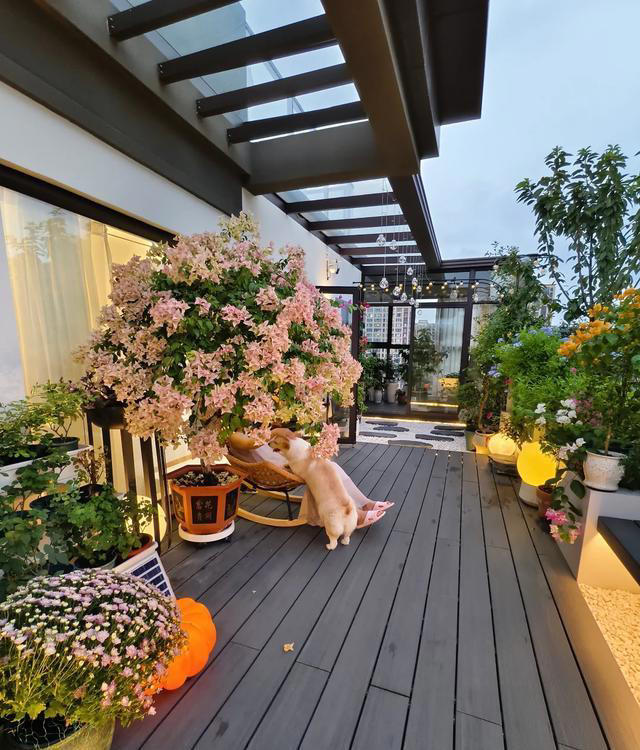 花光积蓄，买了带露台的房子，入住后，根本不敢发朋友圈!