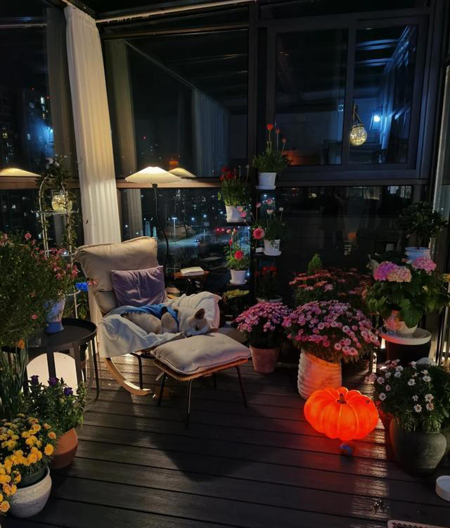 花光积蓄，买了带露台的房子，入住后，根本不敢发朋友圈!