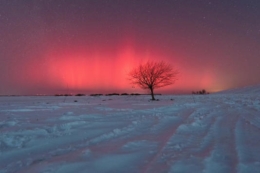 �����������Ƿ׷�׹��  �ռ�վ�ĺ���Ա��ô��