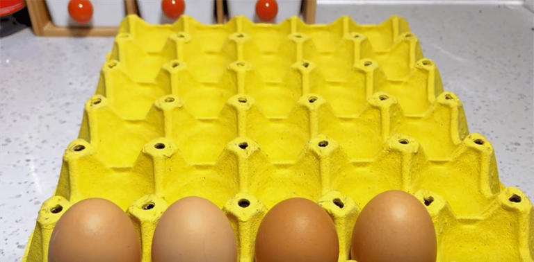 才清楚，鸡蛋托盘是个“宝”，放在阳台特别厉害，看完回家找出来