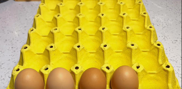 才清楚，鸡蛋托盘是个“宝”，放在阳台特别厉害，看完回家找出来