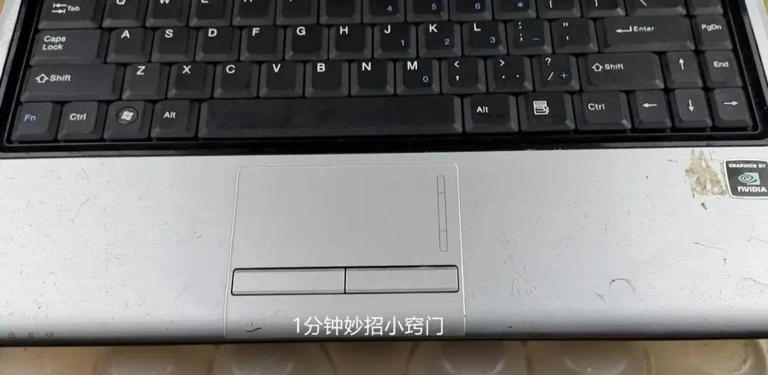 才清楚，鸡蛋托盘是个“宝”，放在阳台特别厉害，看完回家找出来