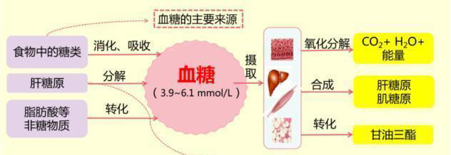 发现空腹血糖高并不是坏事，甚至该高兴一下，医生说的不是反话