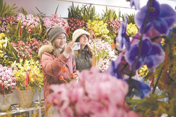 邂逅一场繁盛花事