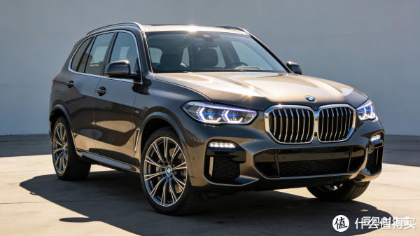 年度车主Top榜：宝马X5，定义豪华SUV的理想模样