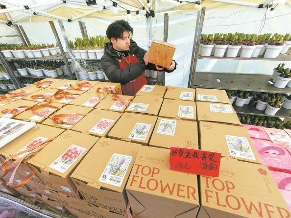 邂逅一场繁盛花事