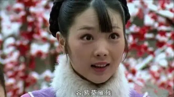 重温《甄嬛传》才明白，倚梅园的四人相遇其实更像是一场“乌龙”