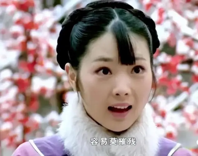 重温《甄嬛传》才明白，倚梅园的四人相遇其实更像是一场“乌龙”