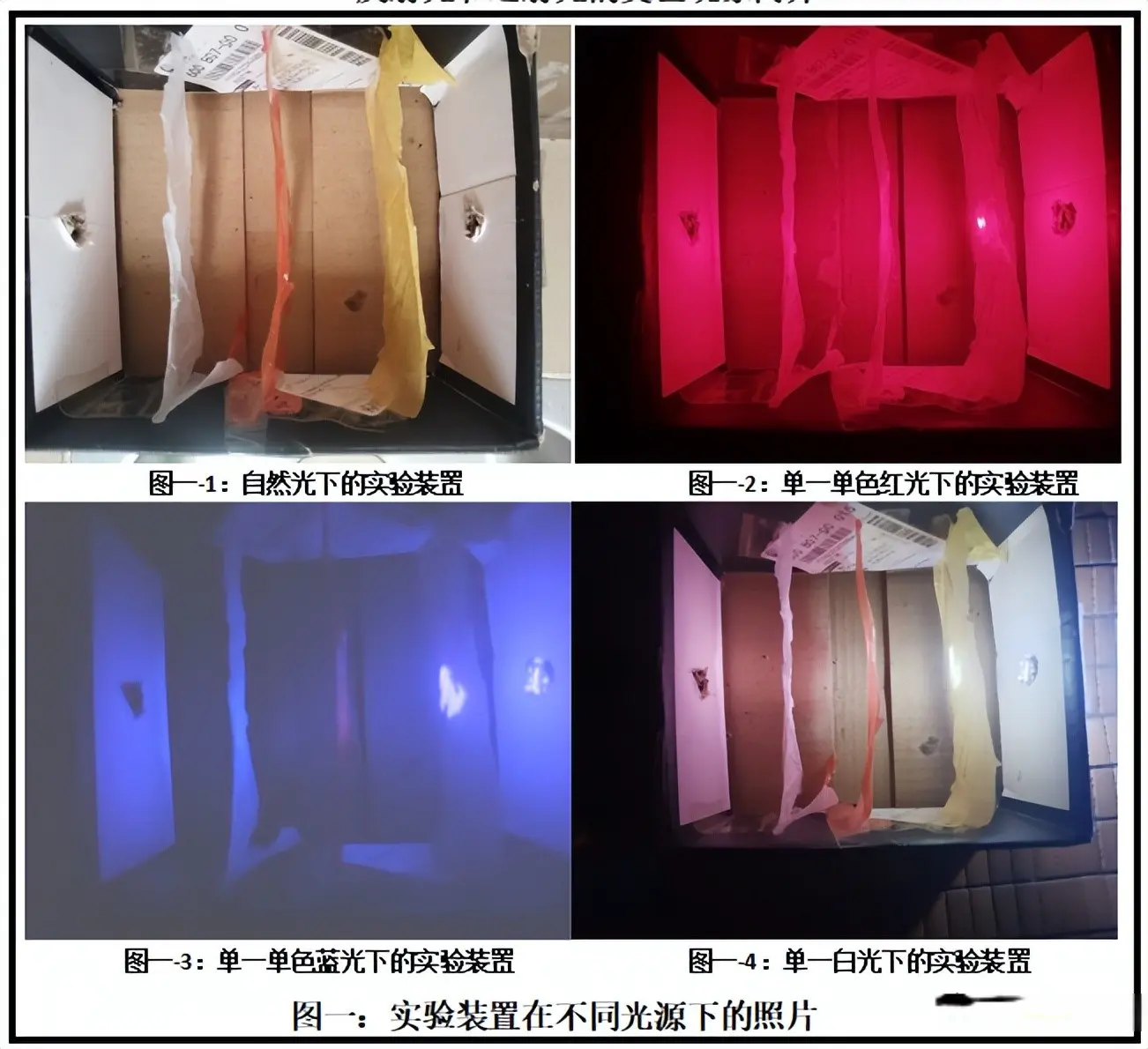 反射光和透射光存在的变色现象及其物理意义