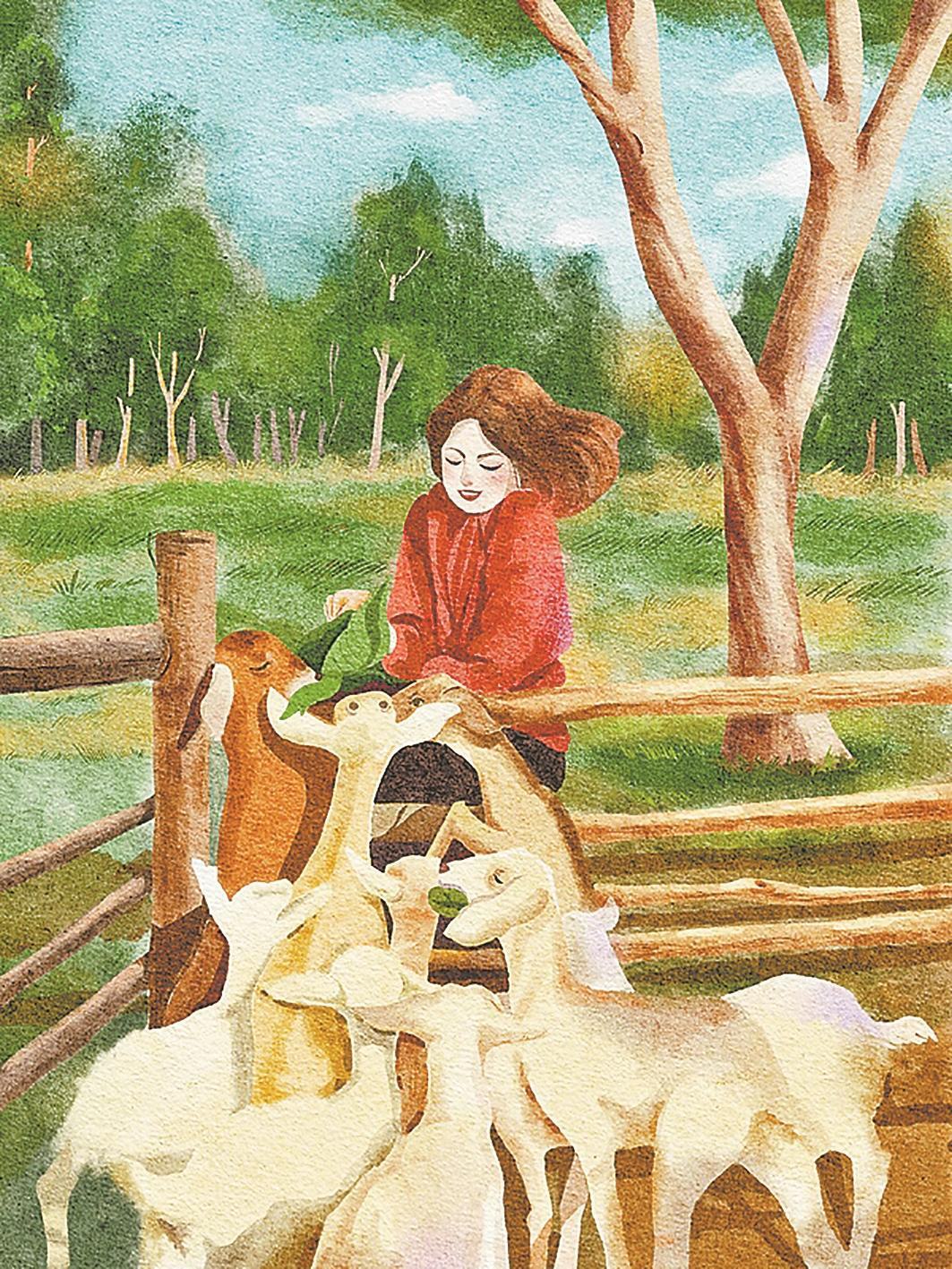 养羊