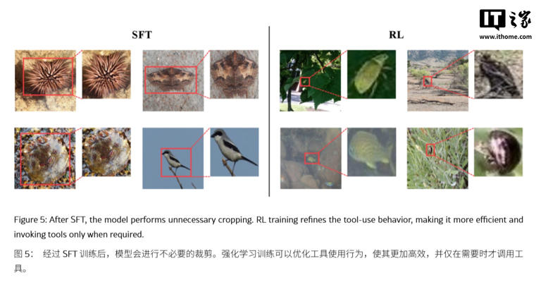 遏制 AI 幻觉：苹果DeepMMSearch-R1论文揭秘&ldquo;图像裁剪&rdquo;搜索术