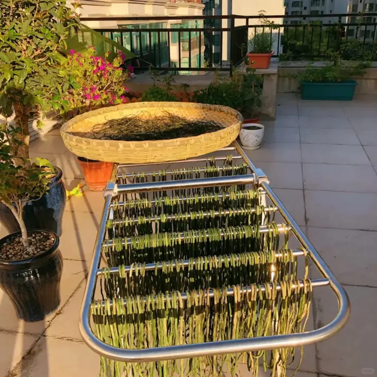 冬天，抓紧把这4种蔬菜晒成干，好吃耐存储，用来炒肉炖汤特解馋
