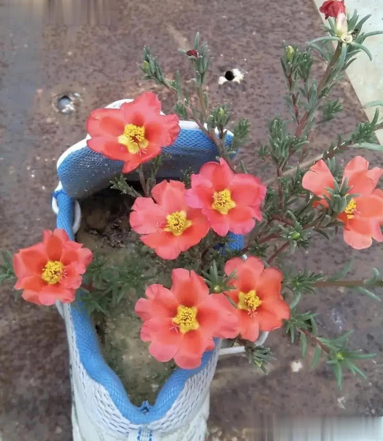 非线性思维：教你在现实世界游刃有余