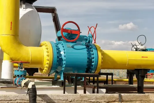 �ձ���ѧ�ң��й��ֹ���һ�����������⣬�⼼�����������޷��з�