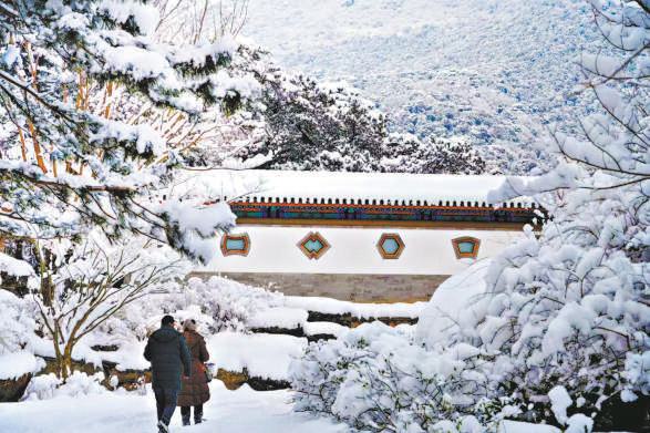 诗意公园处处上演“戏雪图”