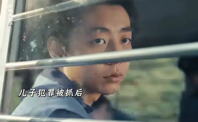 《小城大事》郑德生骂郑德诚是“猴子书记”，才知，杨小海凭啥赢