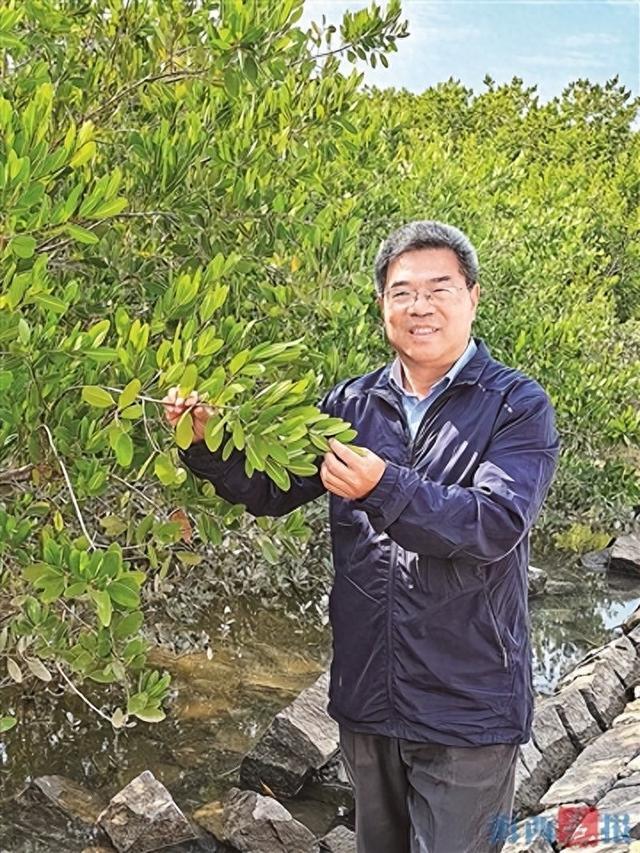 何以厦门丨红树林守护之路将越走越宽——厦大副教授杨盛昌给厦门写“情书”，为生态智慧点赞