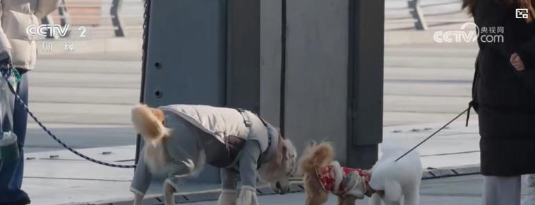 ���ﾭ�������ƣ����������г���ģ����ǧ��Ԫ �������������ҵ��������