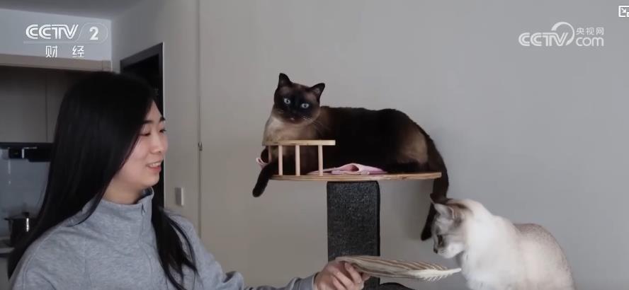 ���ﾭ�������ƣ����������г���ģ����ǧ��Ԫ �������������ҵ��������