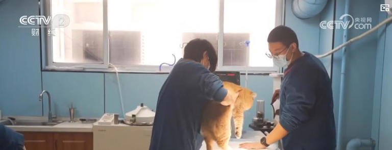 ���ﾭ�������ƣ����������г���ģ����ǧ��Ԫ �������������ҵ��������