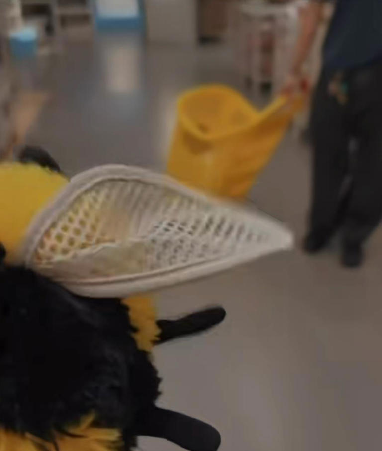 张柏芝带大儿子逛宜家，Lucas插兜气质超像谢霆锋 母子俩像同龄人