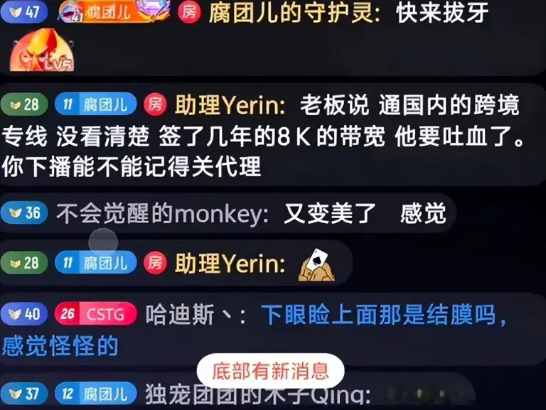 腐团儿搬去韩国直播，第一天麦克风就忘记关，揭开直播内幕