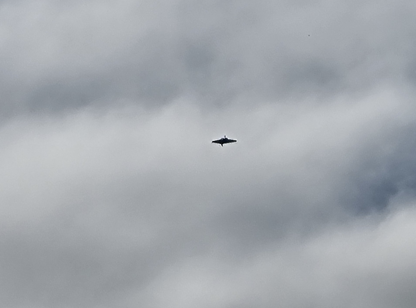 欧洲多国频现不明无人机，实为比利时工程师自造三角翼飞机