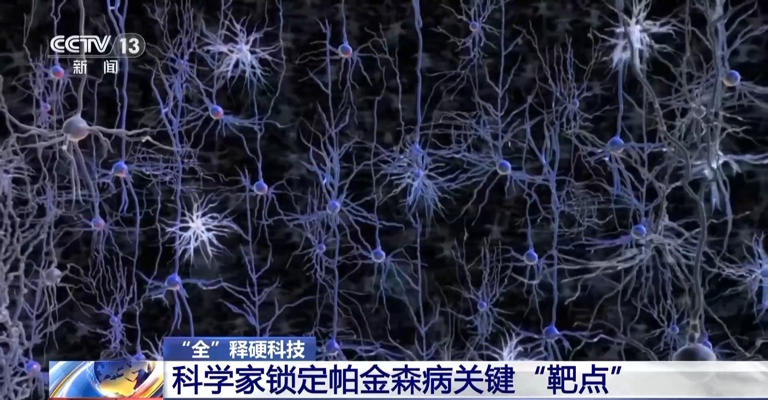 科学家锁定帕金森病关键“靶点” 实现无创精准治疗