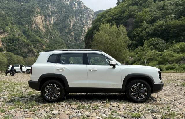 卡罗拉锐放 vs 哈弗大狗：3000元差价，谁更值得买？