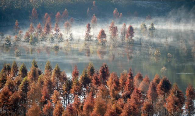 夜读|与任何人相处都能“落落大方”的秘诀