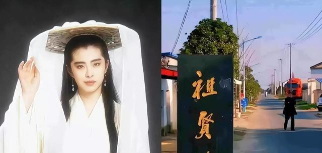 王祖贤素颜出镜爆红：三十年前善举意外曝光，网友为何被感动？