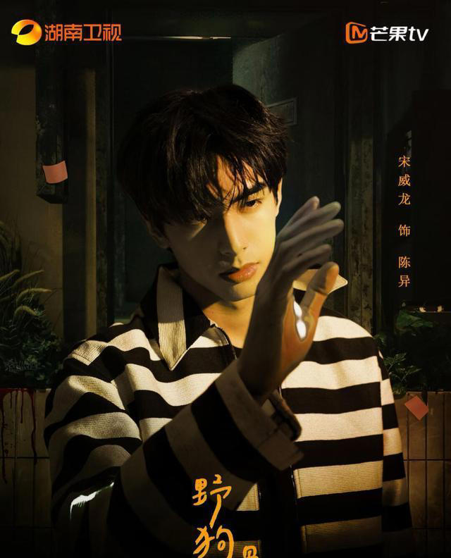 青春励志剧升温！宋威龙张婧仪携手，伪兄妹设定书写双向治愈传奇