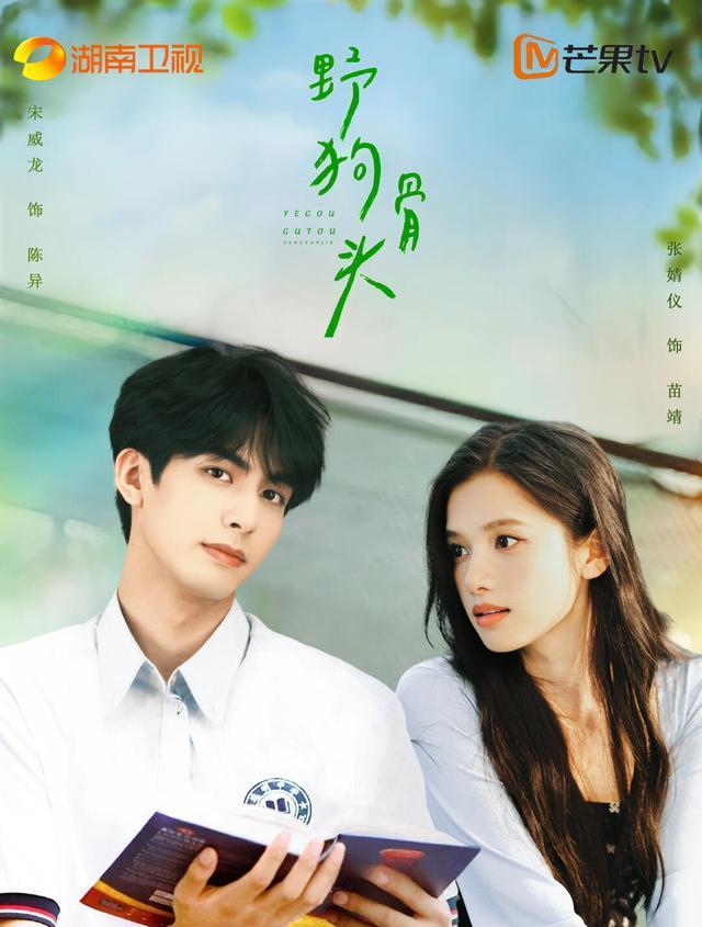 青春励志剧升温！宋威龙张婧仪携手，伪兄妹设定书写双向治愈传奇