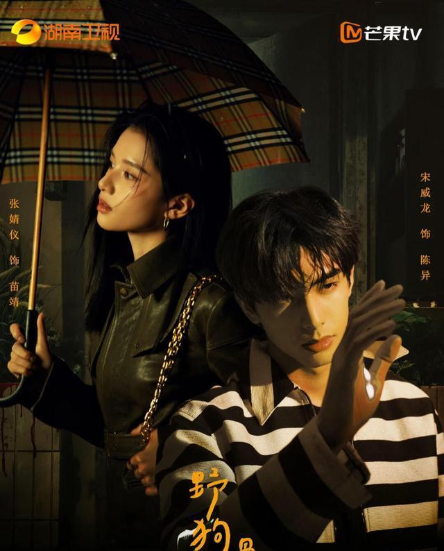 青春励志剧升温！宋威龙张婧仪携手，伪兄妹设定书写双向治愈传奇