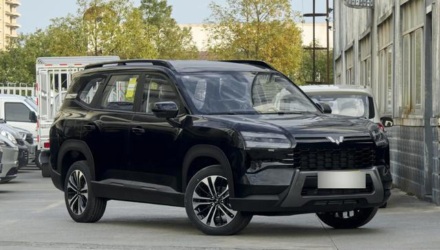 配1.5T燃油动力，可选手动／自动，星光560怎样？