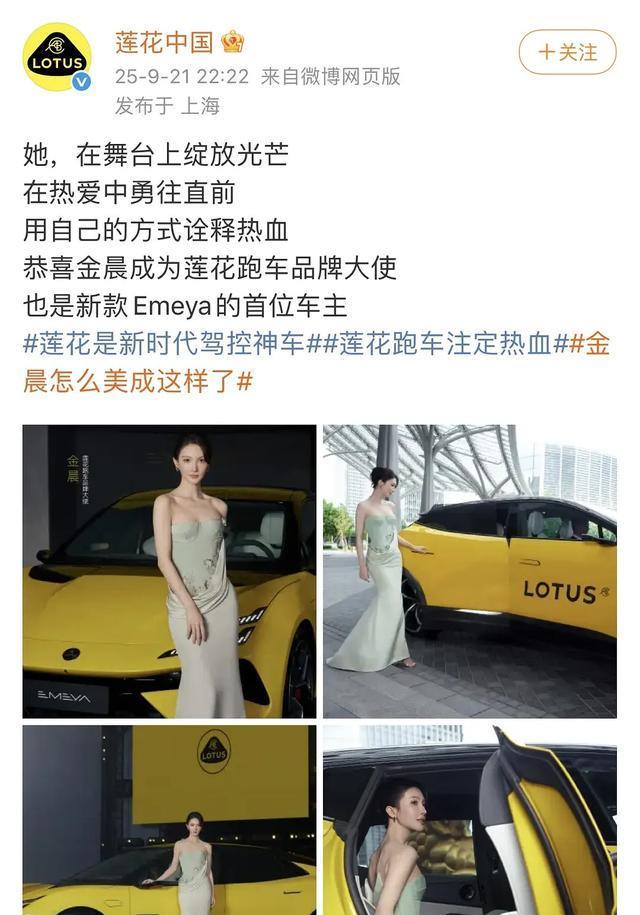 金晨被曝肇事逃逸，牵连谢霆锋，顶包案后被打、被监禁、事业尽毁