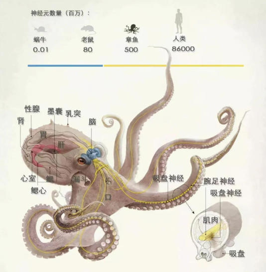 Ϊʲô����ѧ�Ҷ���������������������