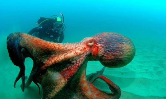 Ϊʲô����ѧ�Ҷ���������������������